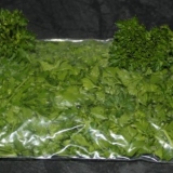 Da li je moguće zamrznuti peršun za zimu